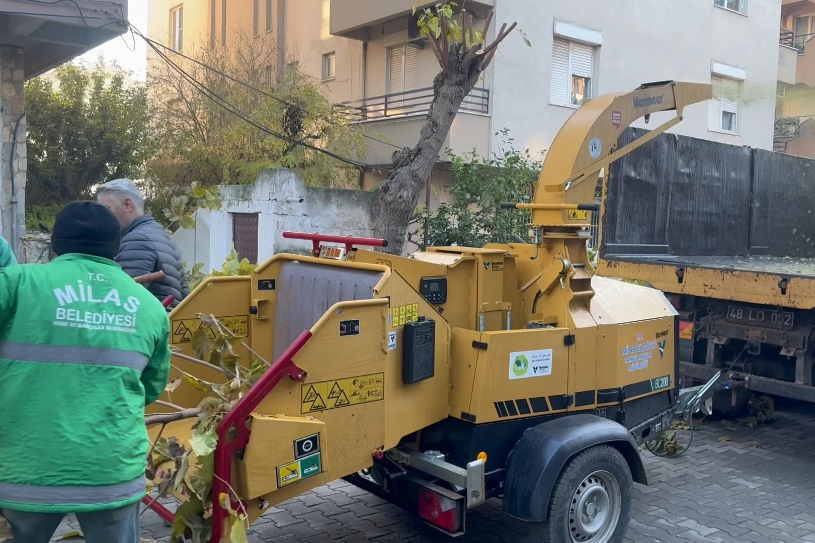 Muğla Milas'ta dal öğütme makinesi hizmette