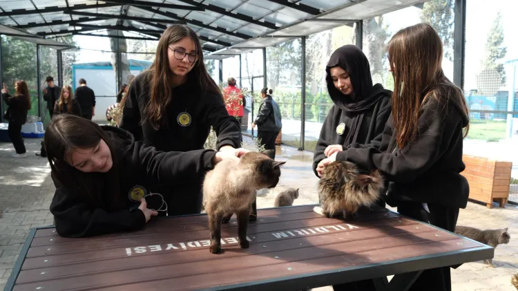 Bursa Yıldırım’da gençlerden patili dostlara sevgi ziyareti