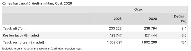 Tavuk yumurtası üretimi yüzde 15,1 arttı