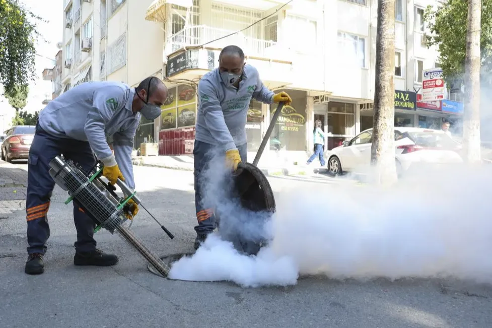 Mersin'de haşere alarmı