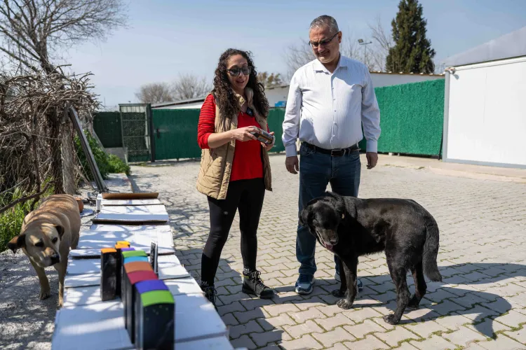 İzmir Bornova’da can dostlara büyük destek