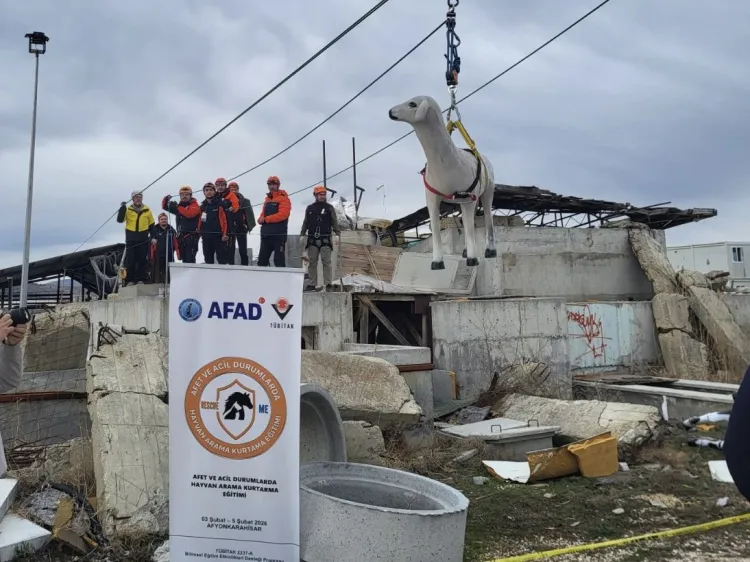 AFAD’dan uluslararası iş birliğiyle hayvan koruma projesi... RESQ-ANIMALS başladı