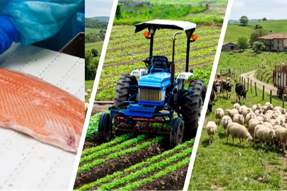 IPARD III’te yeni takvim açıklandı... Kırsala 241 milyon avroluk dev hibe