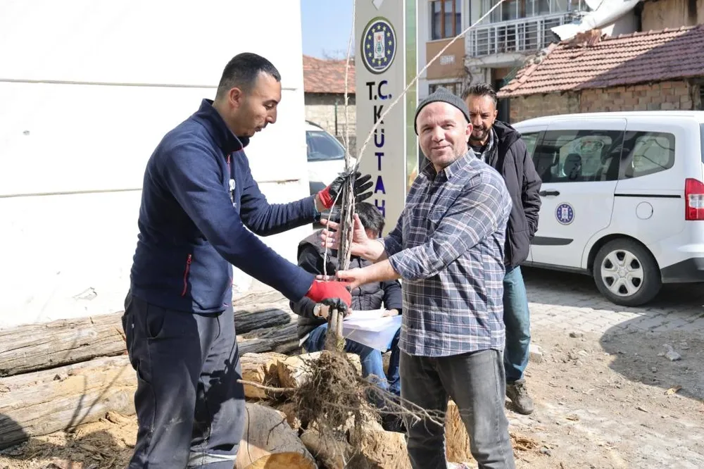 Kütahya’da yerel kiraz türleri toprakla buluşacak