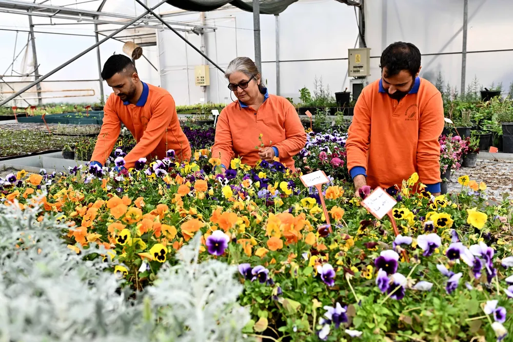 Antalya Muratpaşa’dan sürdürülebilir üretim modeli