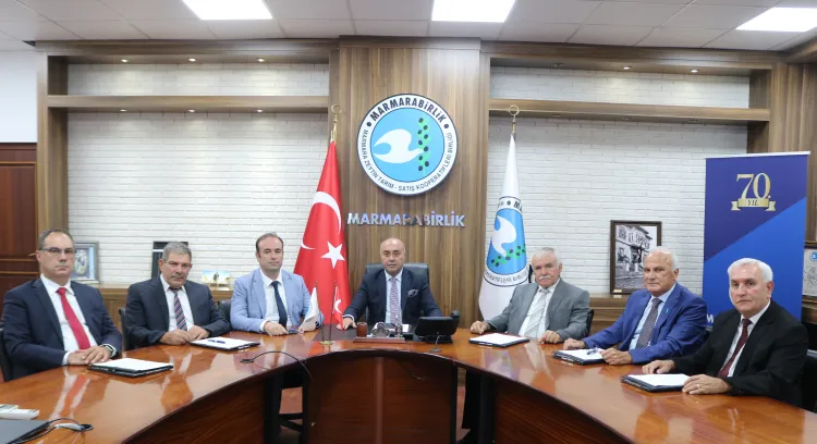 Zeytin üreticisine son dilim ödemelerin tarihi belli oldu