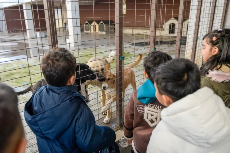 İzmir’de “tek sağlık” hamlesi