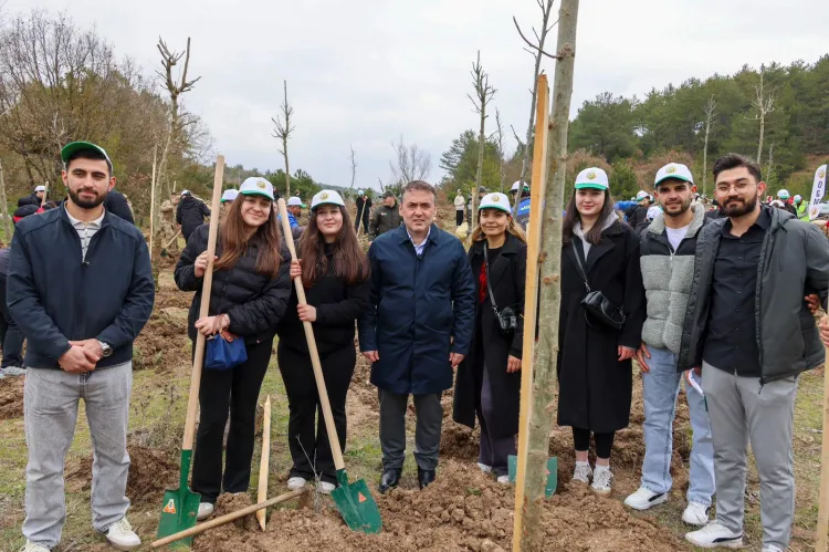 Şeyh Edebali’nin 700. yılında fidanlar toprakla buluştu