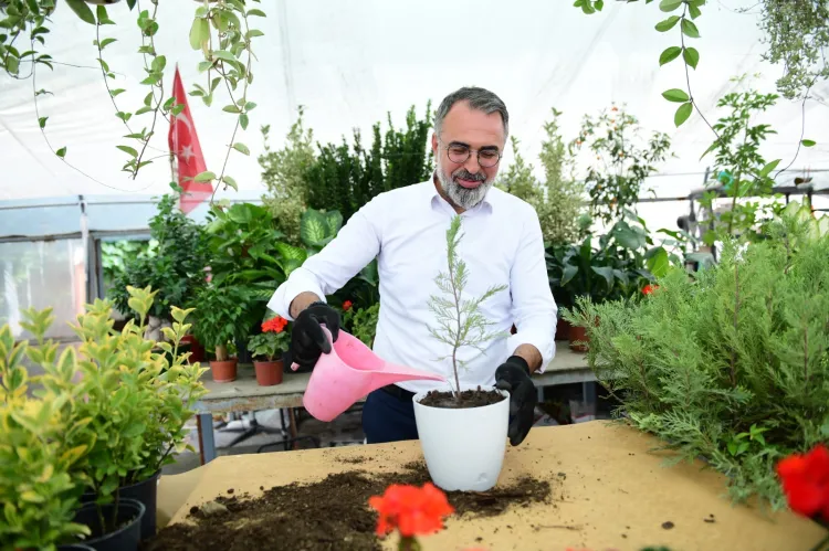 Bursa Kestel'de süs bitkileri üreticilerine destek