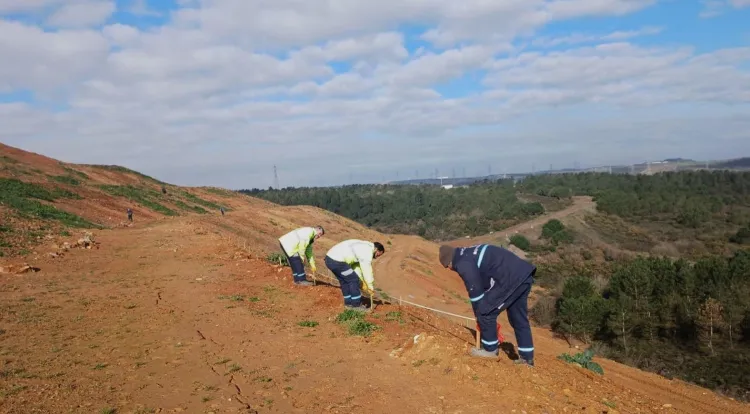 Kocaeli Gebze'de Büyükşehir’le yeşile dokunuş