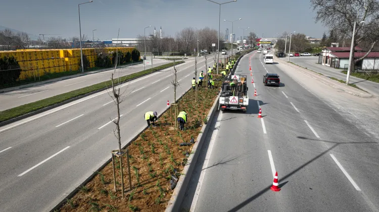 Bursa Büyükşehir'den cadde ve bulvarlara estetik dokunuş