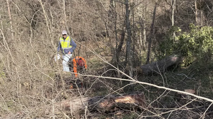 Babası ormanda hayatını kaybetti, o baltayı elinden bırakmadı!
