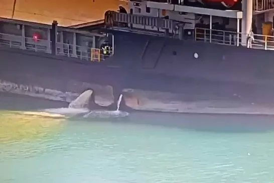 Mersin Limanı’nda denizi kirleten gemiye 13,1 milyon TL ceza